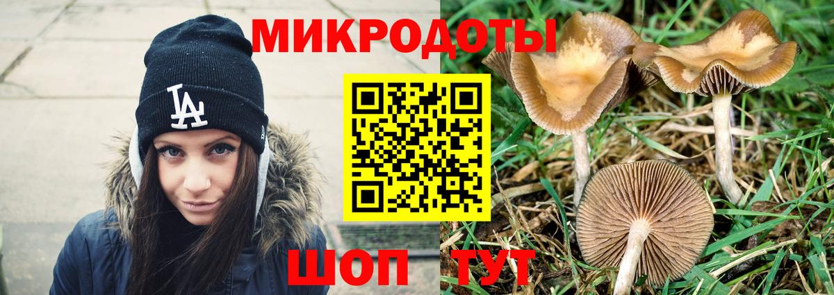 Галлюциногенные грибы Magic Shrooms Рязань